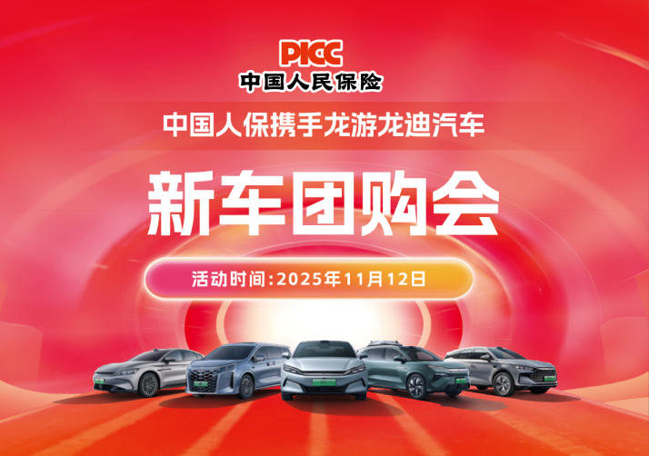 中国人保携手龙游龙迪汽车新车团购会活动