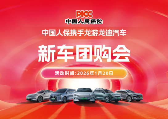 中国人保携手龙游龙迪汽车团购会活动